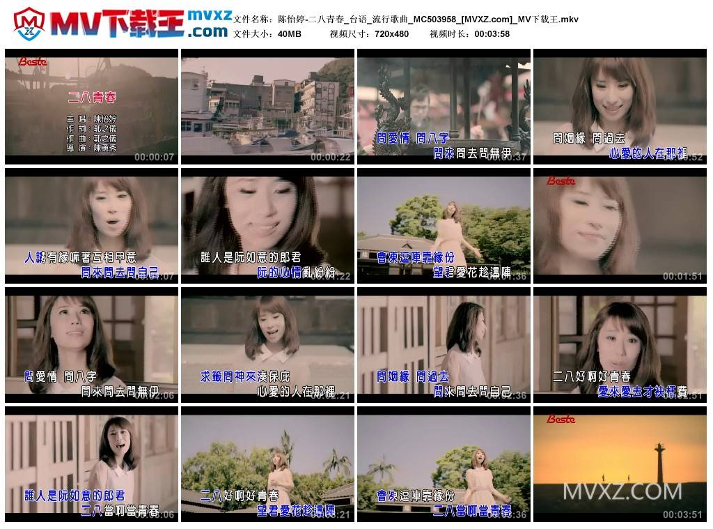 陈怡婷-二八青春_台语_流行歌曲_MC503958